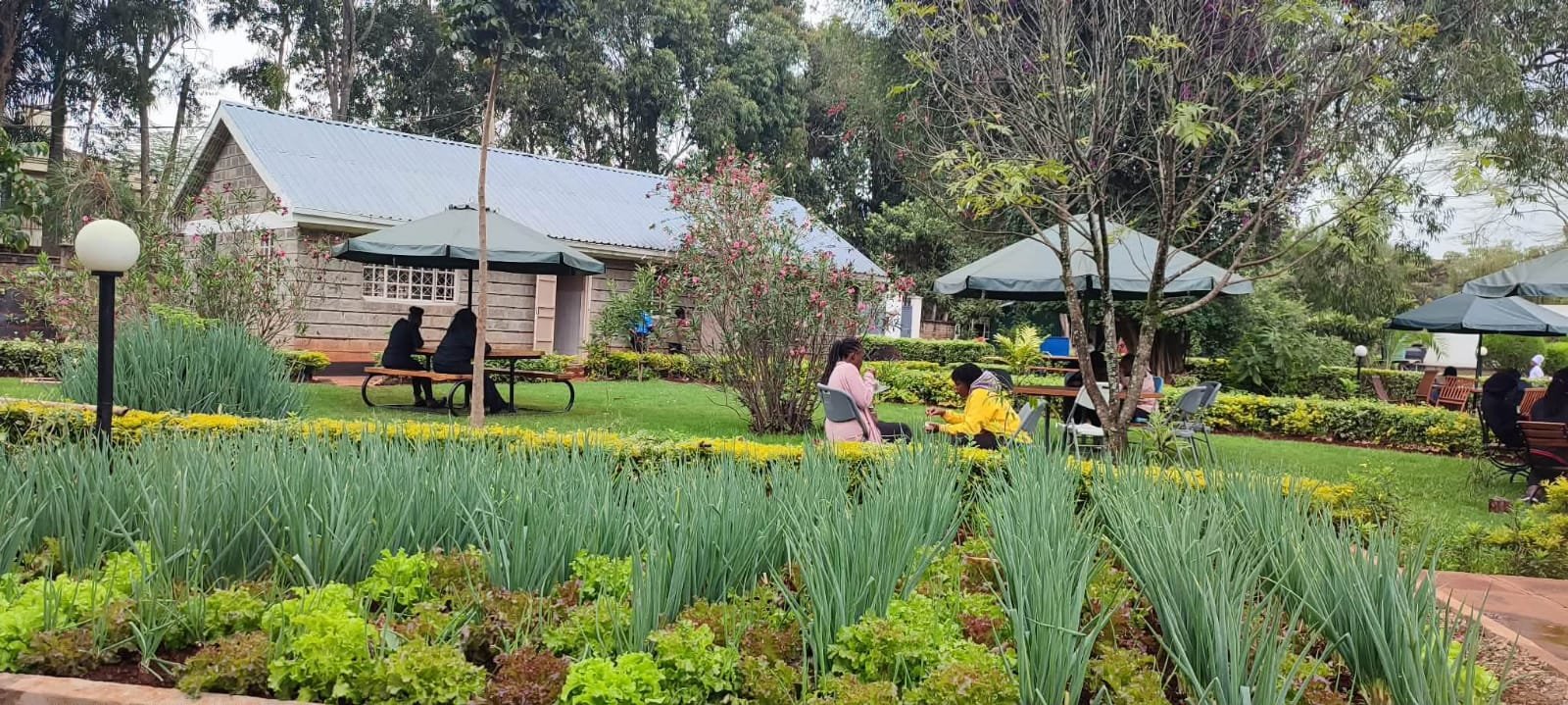 The gardens and outdoor seating, ideal for informal exchanges between sessions.