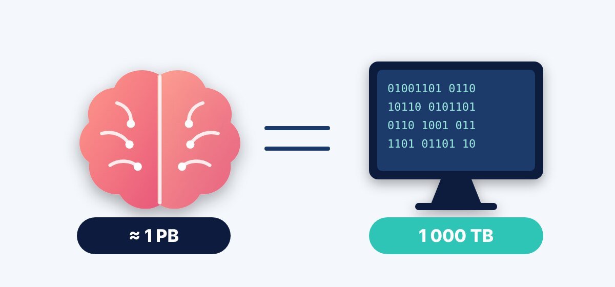 The brain as a computer: an estimated storage capacity of about 1 petabyte.